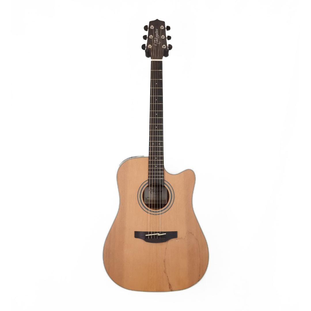 Takamine TGD20CENS G20 Series Dreadnought Guitar with Cutaway