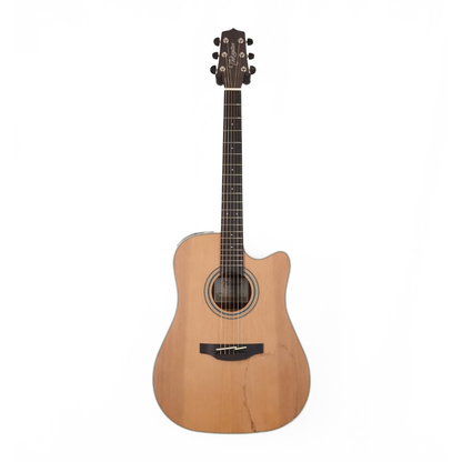 Takamine TGD20CENS G20 Series Dreadnought Guitar with Cutaway