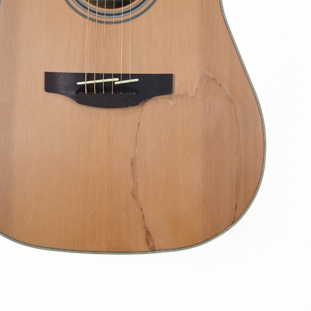 Takamine TGD20CENS G20 Series Dreadnought Guitar with Cutaway