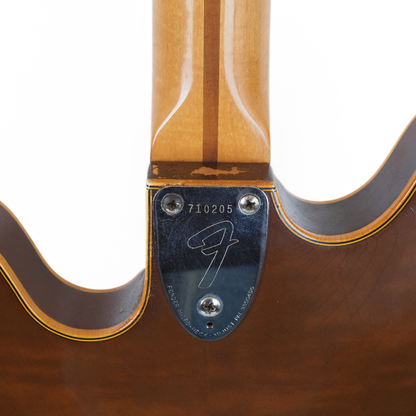 1976 Fender Starcaster Electric Guitar in Walnut