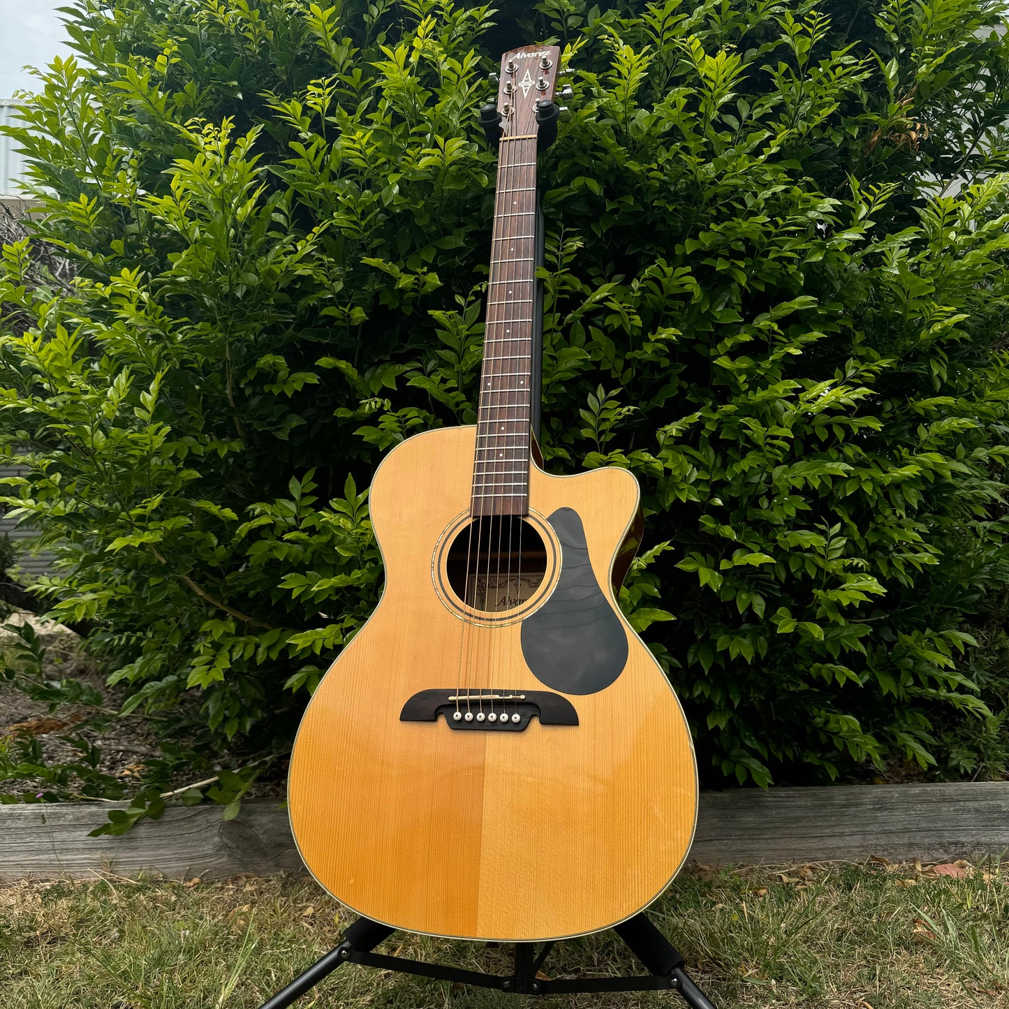 Alvarez RF26CE Acoustic Electric