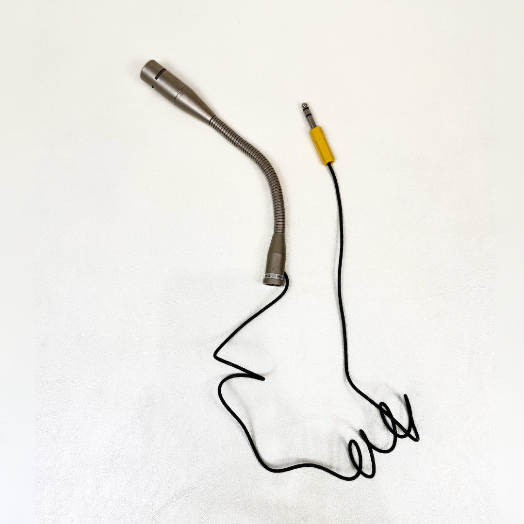 AKG D558B Gooseneck Dynamic Microphone