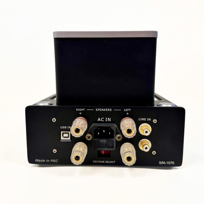 Tec•On Audio Model “55” Integrated Vacuum Tube Stereo Amplifier / DAC