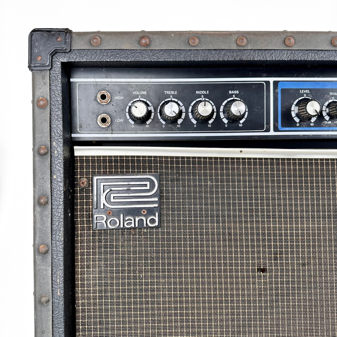 Roland SB-100 Studio Bass 100 1×15 Roland SB-100 Studio Bass 100 1×15