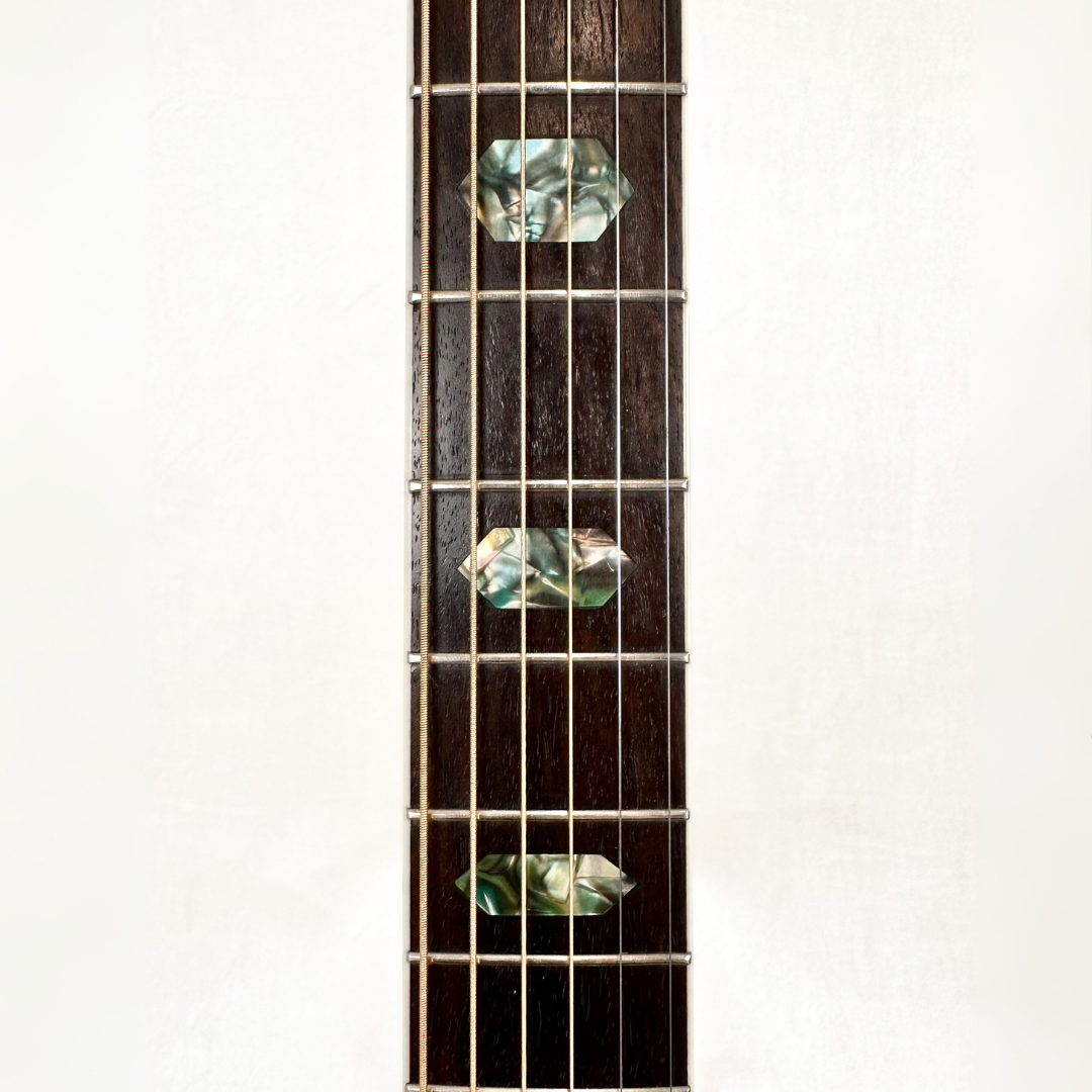 1970 Aria W-50D Acoustic Guitar