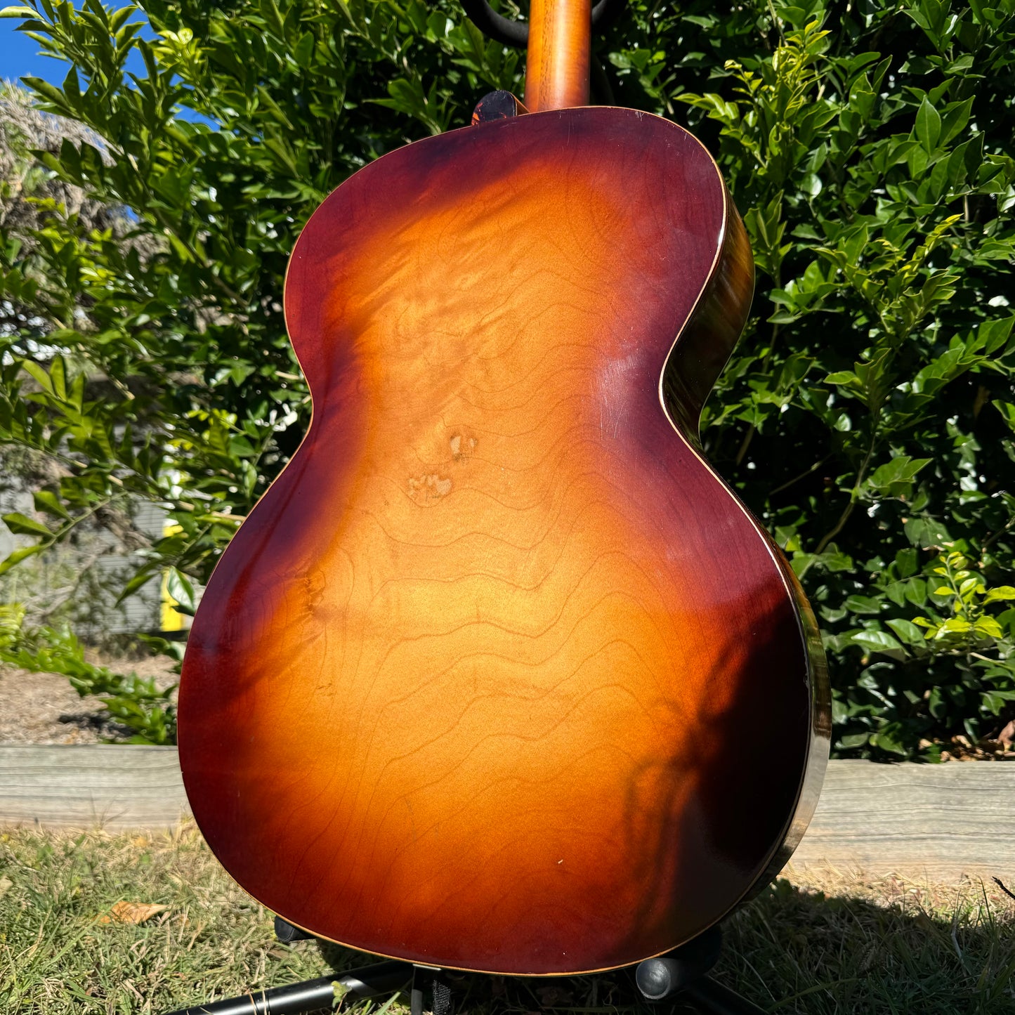 1964 Hofner Congress Archtop