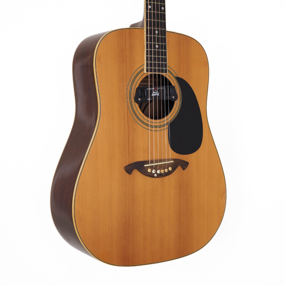 Vintage Vester VDN325 Dreadnought Acoustic Guitar with Soundhole Preamp System