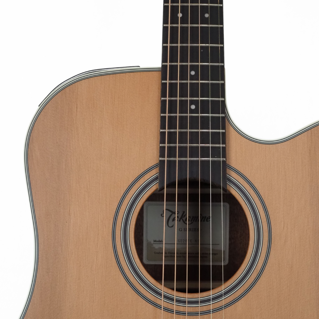 Takamine TGD20CENS G20 Series Dreadnought Guitar with Cutaway