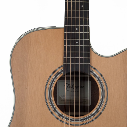 Takamine TGD20CENS G20 Series Dreadnought Guitar with Cutaway