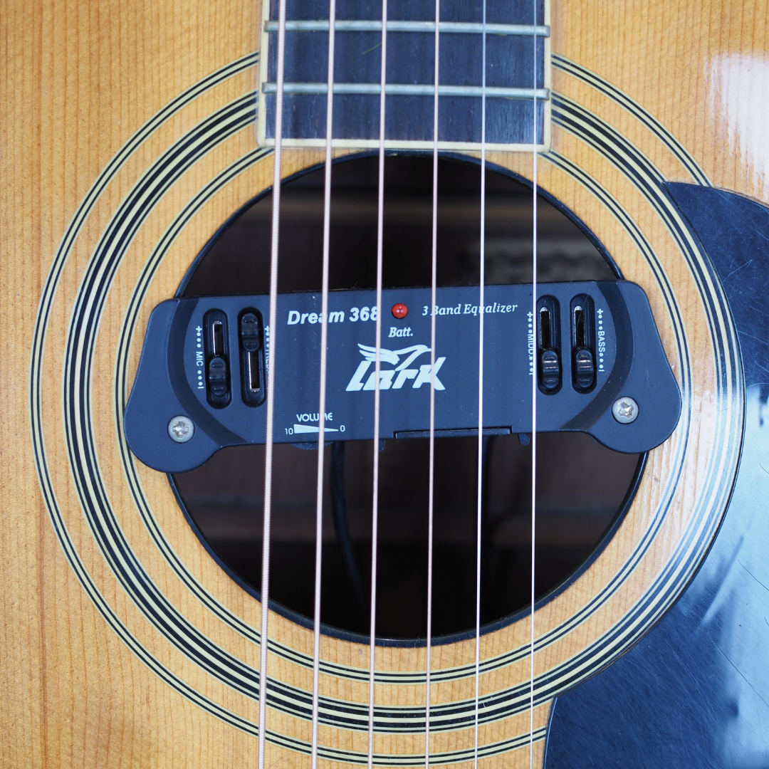 Vintage Vester VDN325 Dreadnought Acoustic Guitar with Soundhole Preamp System