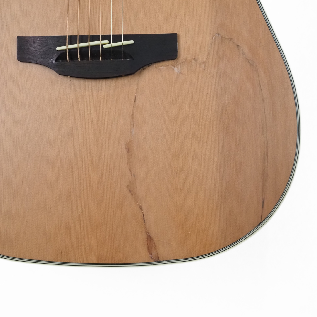 Takamine TGD20CENS G20 Series Dreadnought Guitar with Cutaway