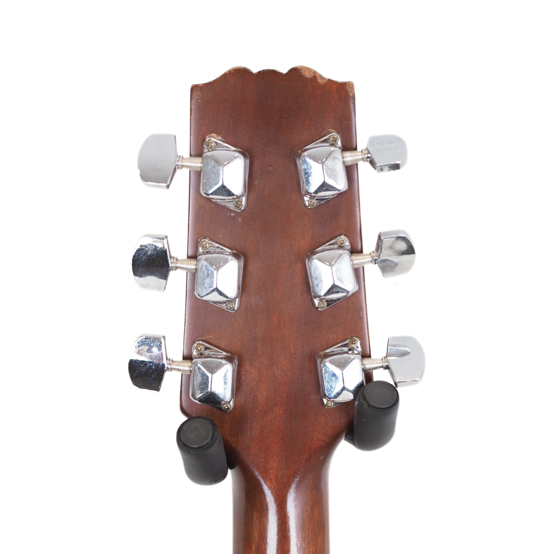 Vintage Vester VDN325 Dreadnought Acoustic Guitar with Soundhole Preamp System