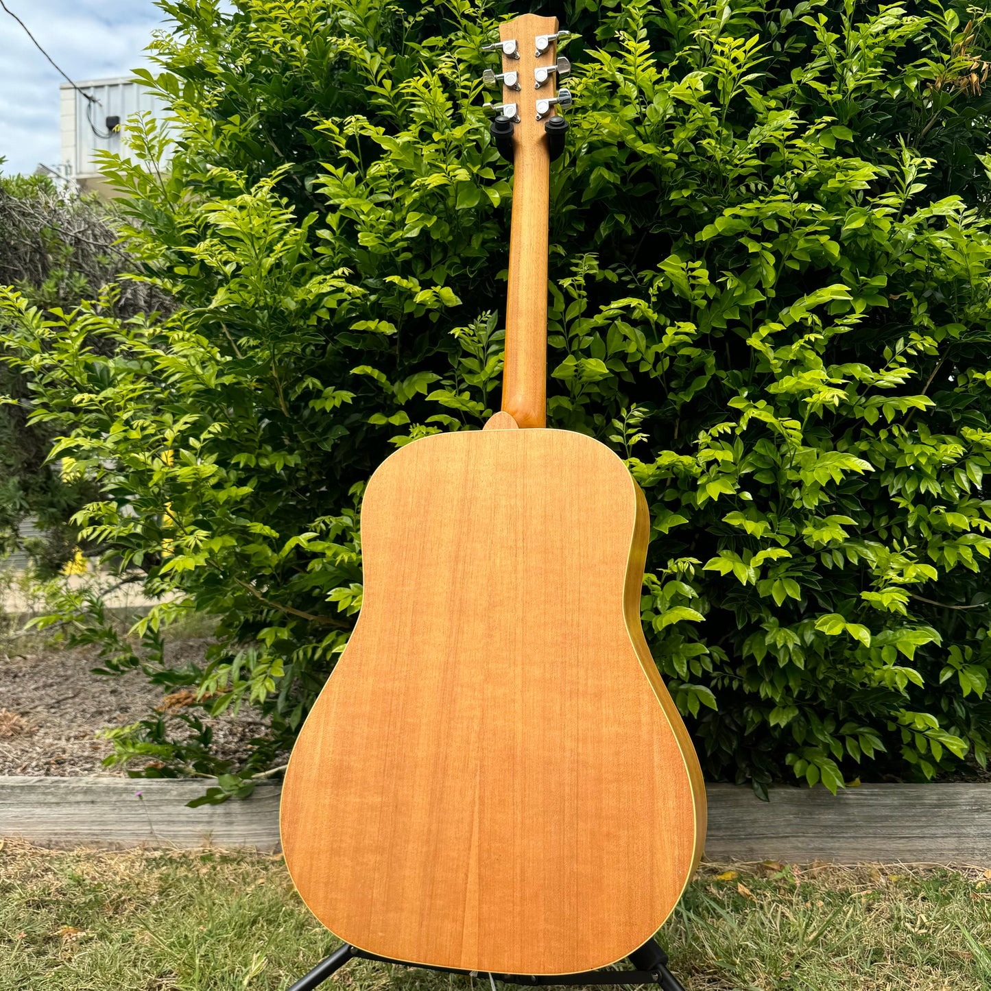 Maton M225 Natural Series Acoustic