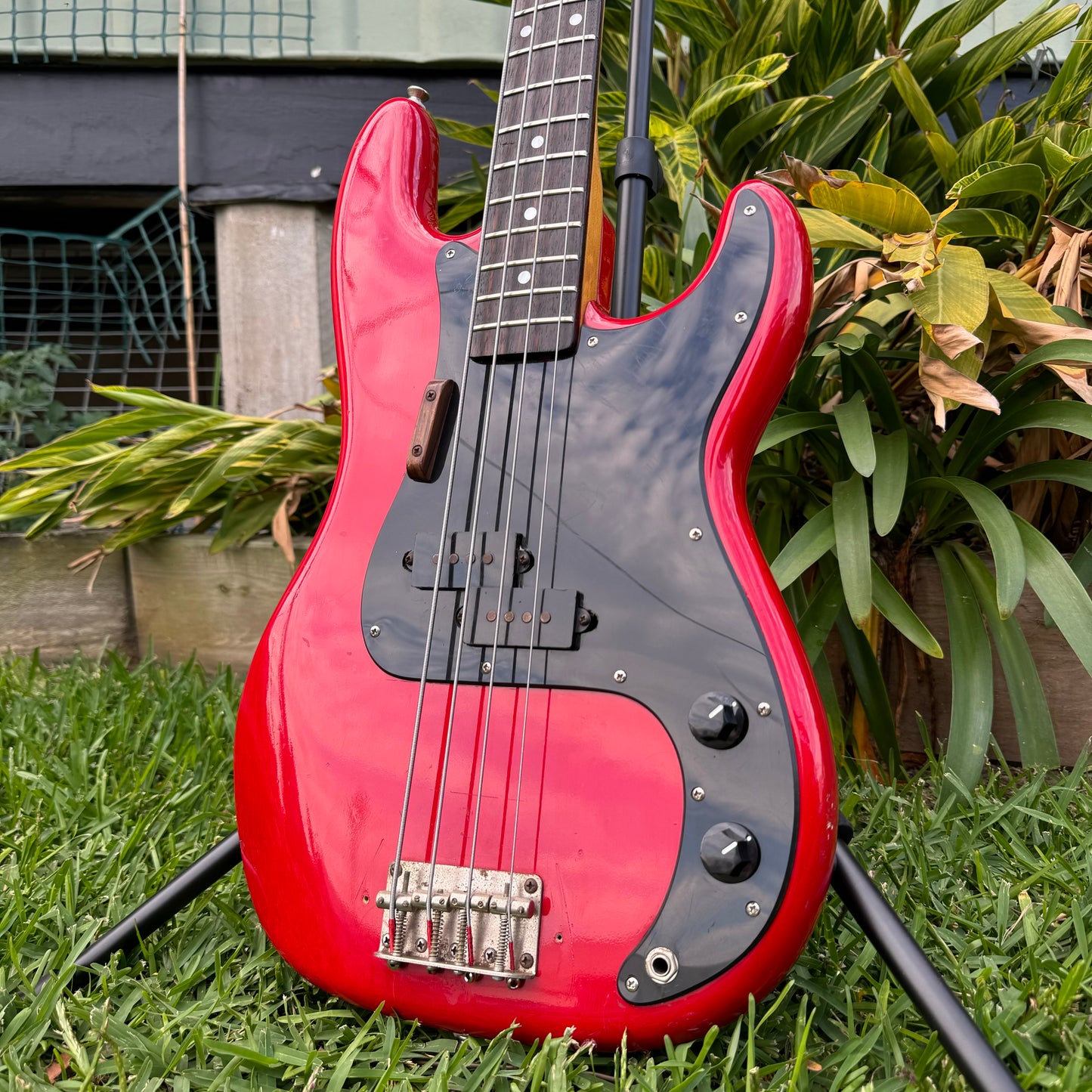 Onyx Precision Bass