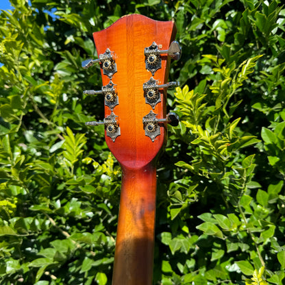 1964 Hofner Congress Archtop