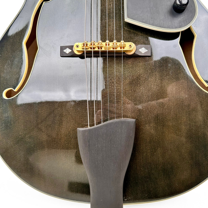 Electra Jazzbox Hollowbody Electric Guitar in Transparent Charcoal Burst