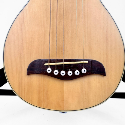 Washburn Rover RO10 Travel Acoustic Guitar with Case