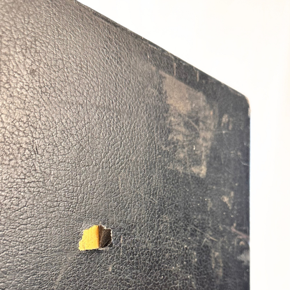 Stamford Woodframe Guitar Case (Vintage Black, Plush Interior)