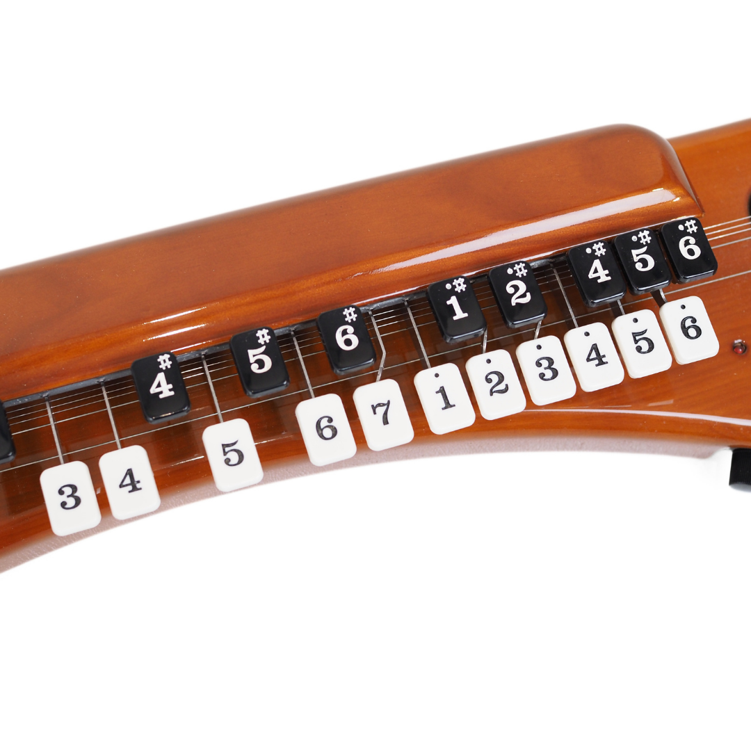 Suzuki Taisho Kohaku Electric Koto