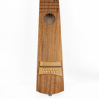 Dan Lawson Custom-Made Acoustic 12-String Lap Steel Guitar