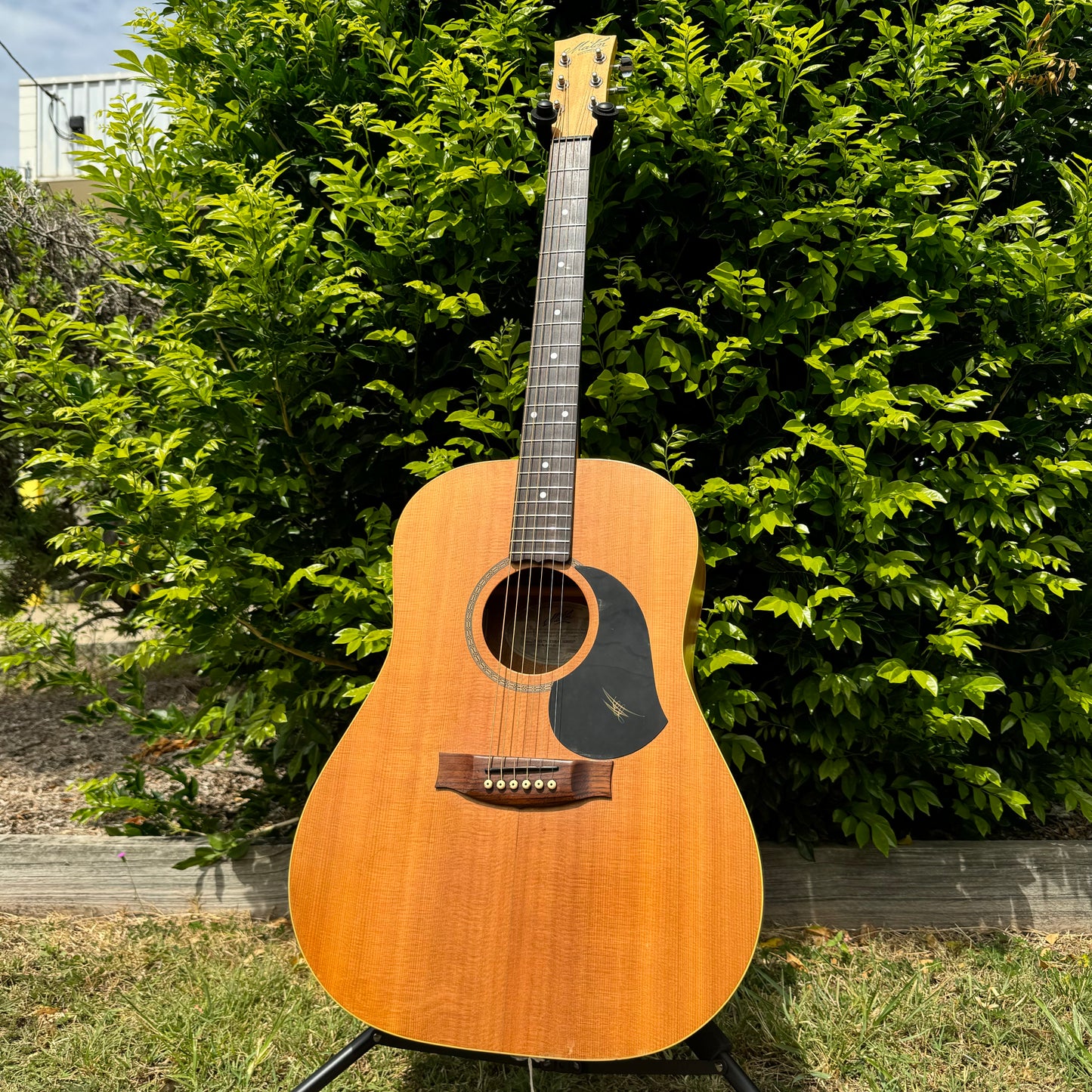 Maton M225 Natural Series Acoustic