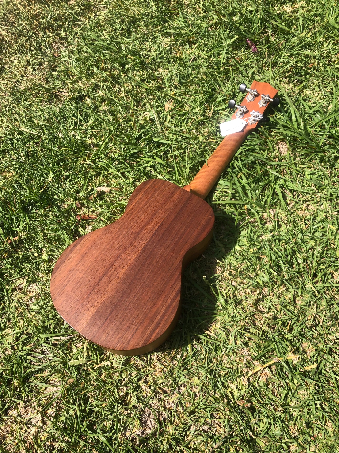 Maton Concert Ukulele