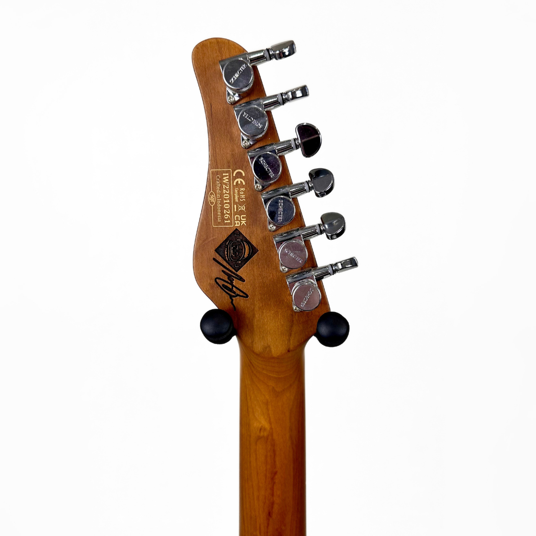 Schecter Nick Johnston Signature PT Diamond Series Electric Guitar in Atomic Frost