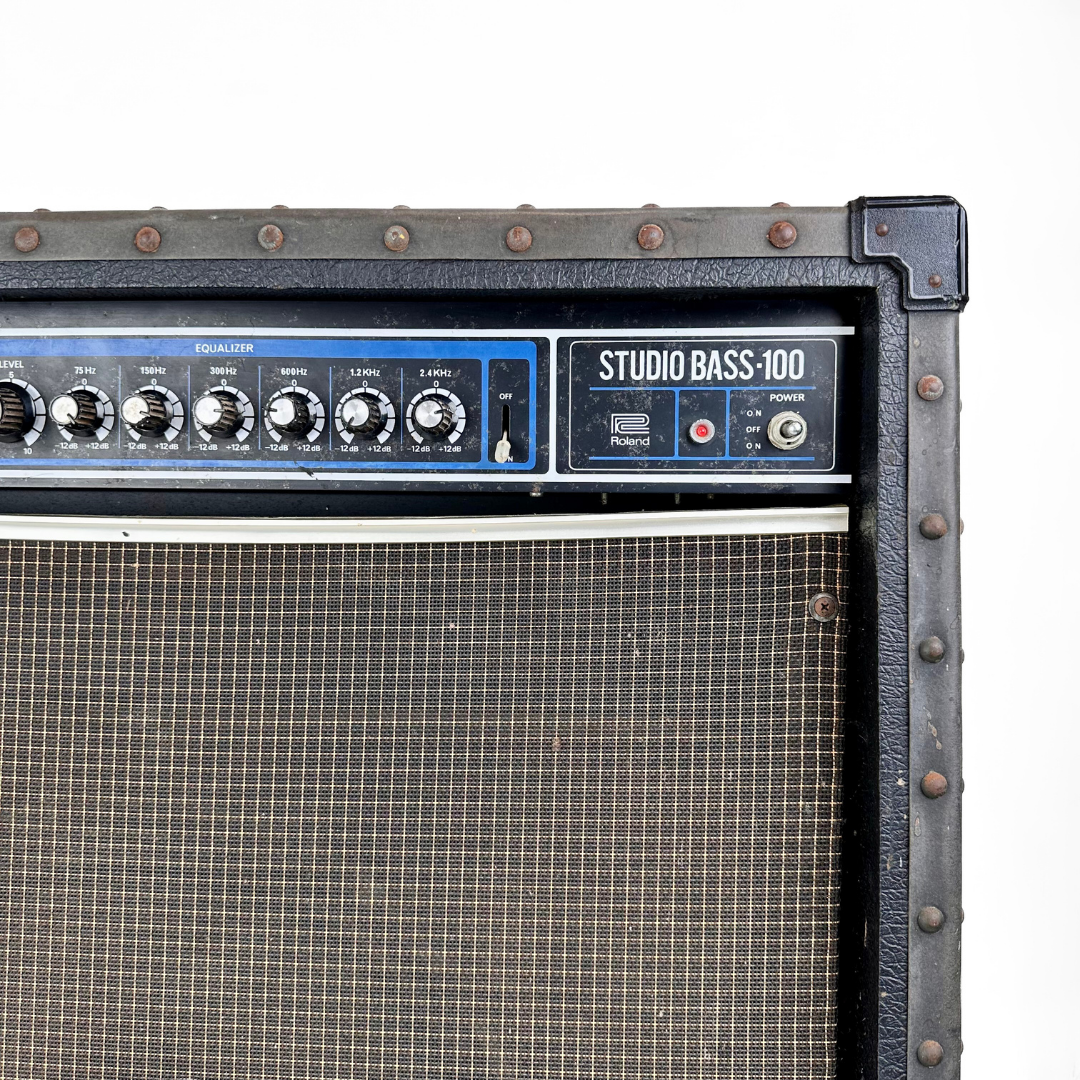 Roland SB-100 Studio Bass 100 1×15 Roland SB-100 Studio Bass 100 1×15