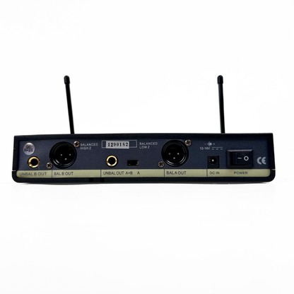 Titan Audio SN-502 UHF Dual-Channel Wireless Microphone System