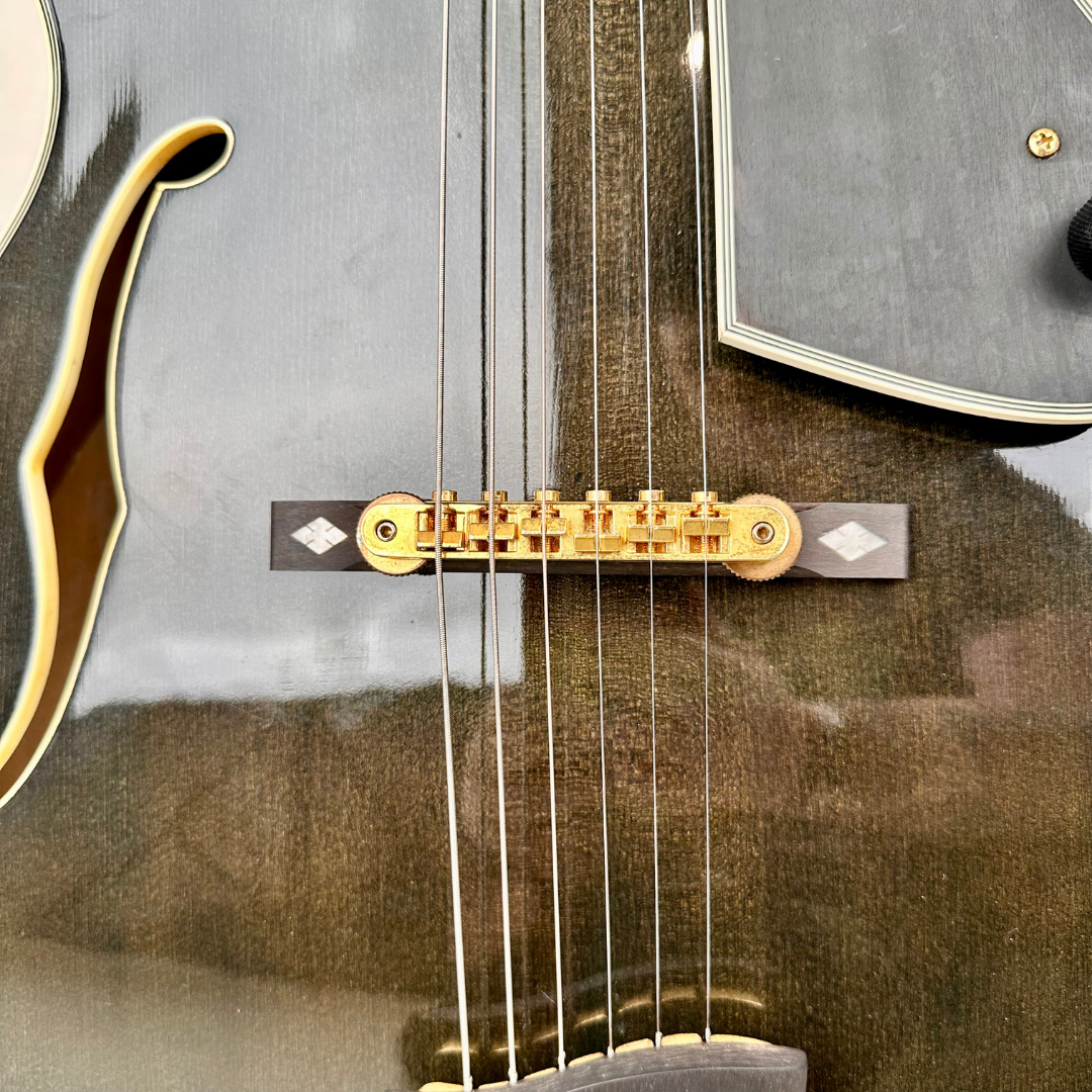 Electra Jazzbox Hollowbody Electric Guitar in Transparent Charcoal Burst