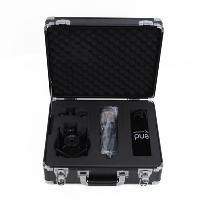 Townsend Labs Sphere L22 Modelling Condenser Microphone