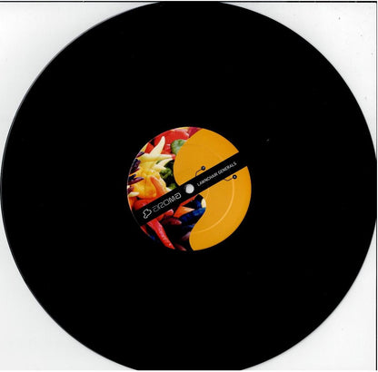 LawnChair Generals – You Got To (Vinyl, 12")