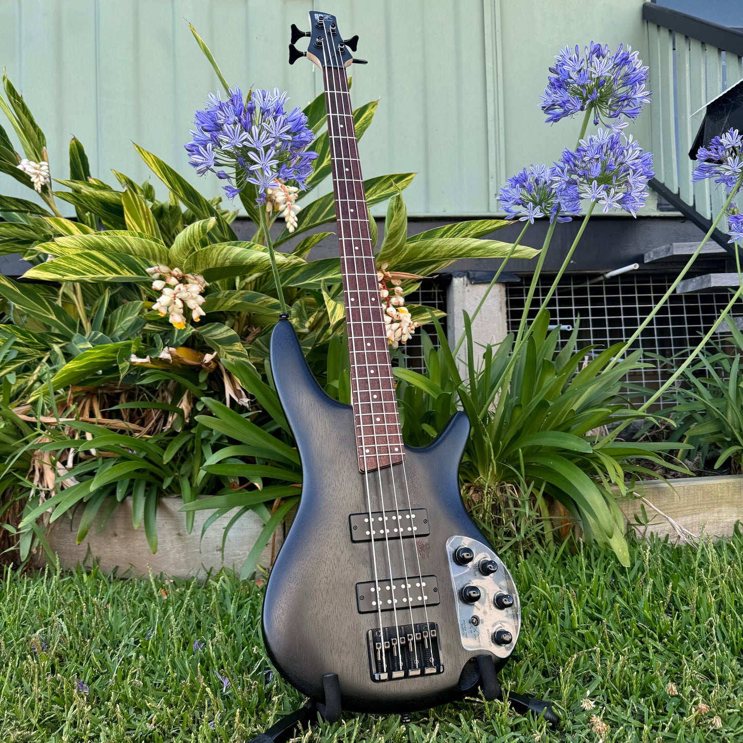 Ibanez SR300EB