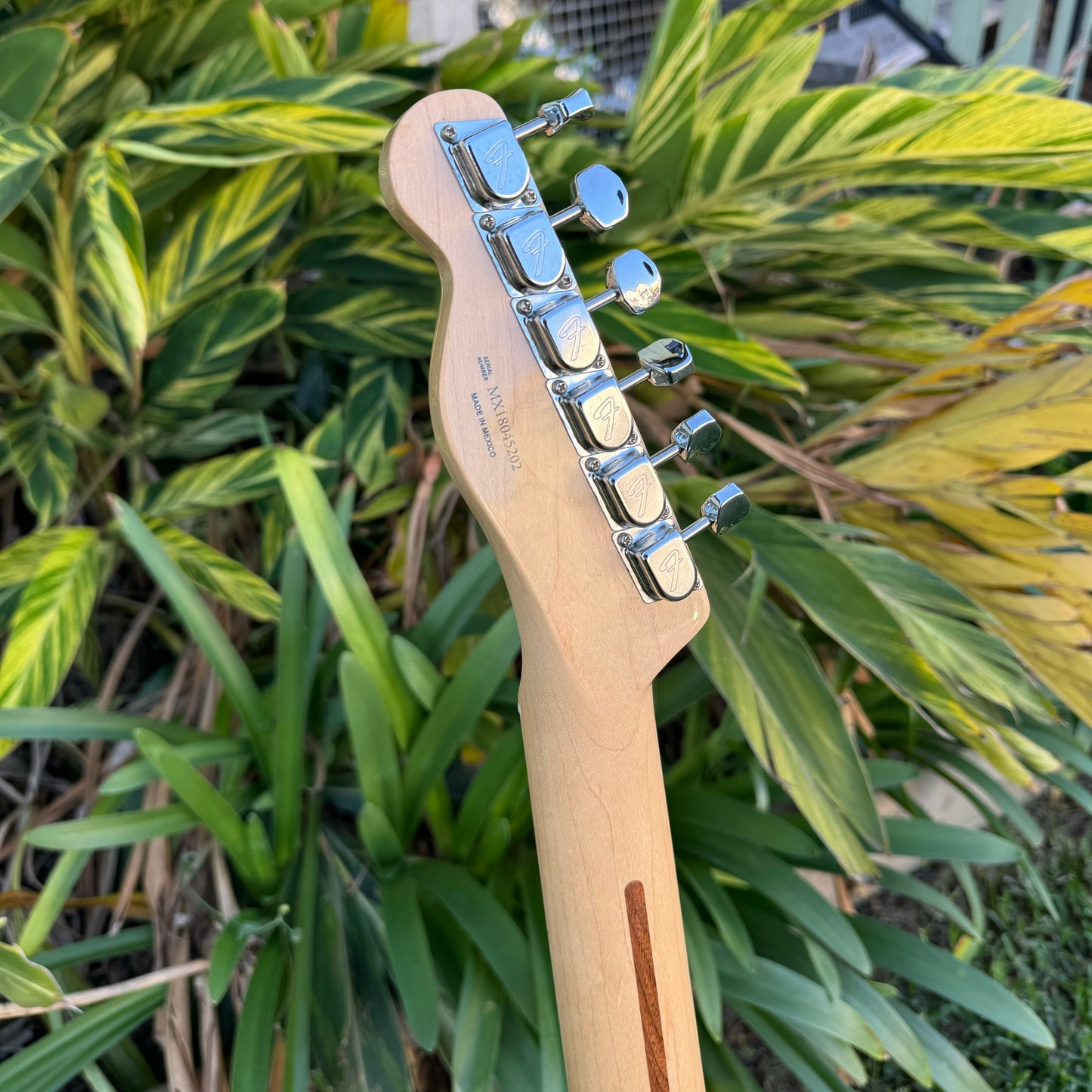 Fender Telecaster Thinline