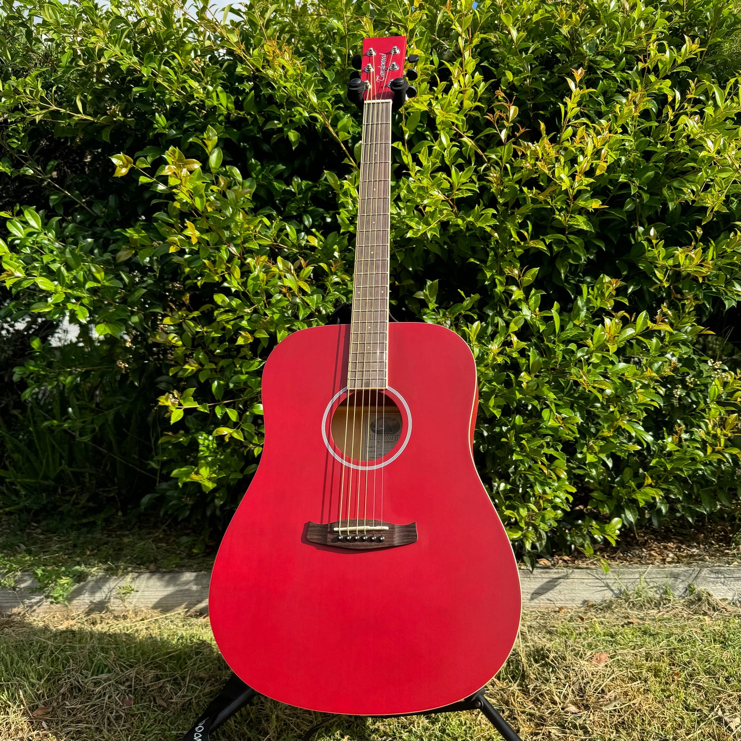 Tanglewood Discovery Series Dreadnought - Red