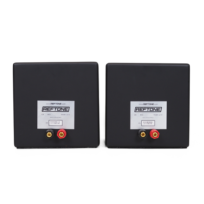 RefTone LD-3 Passive Ref-Cubes Reference Monitor Speaker Pair