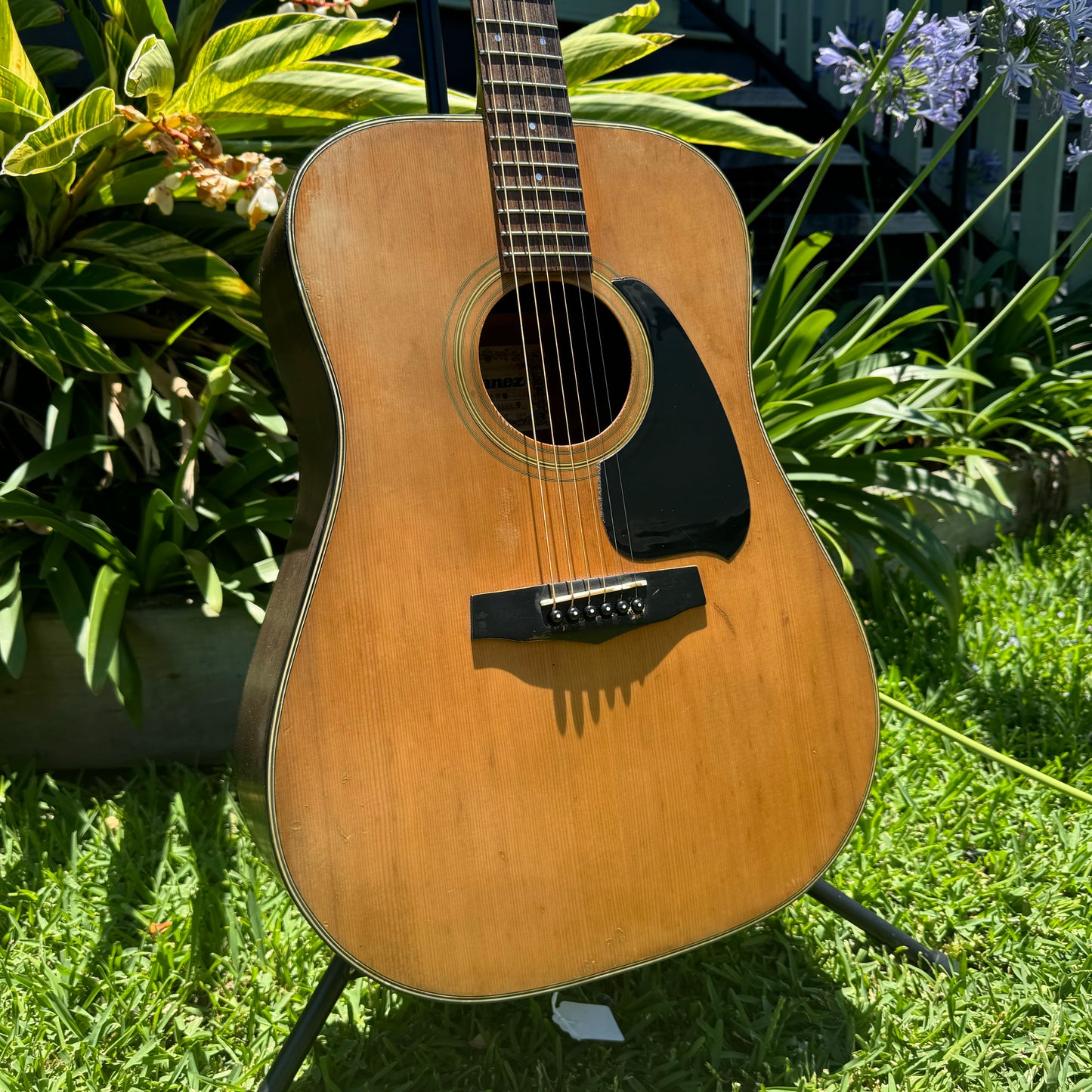 Ibanez V280 Dreadnought