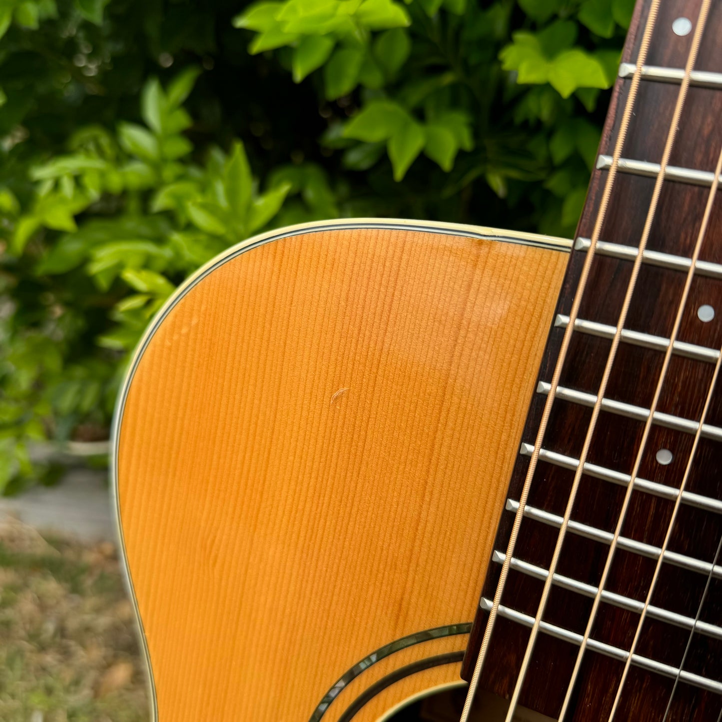 Alvarez RF26CE Acoustic Electric