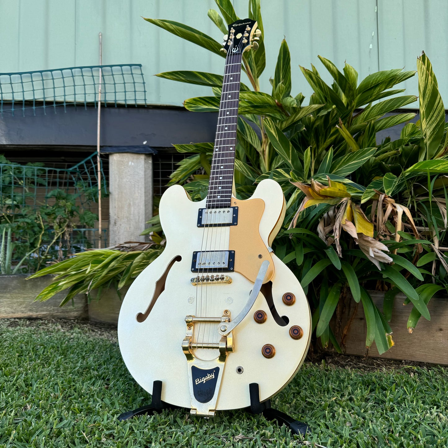 Epiphone Dot Royale w/ Bigsby - Pearl White