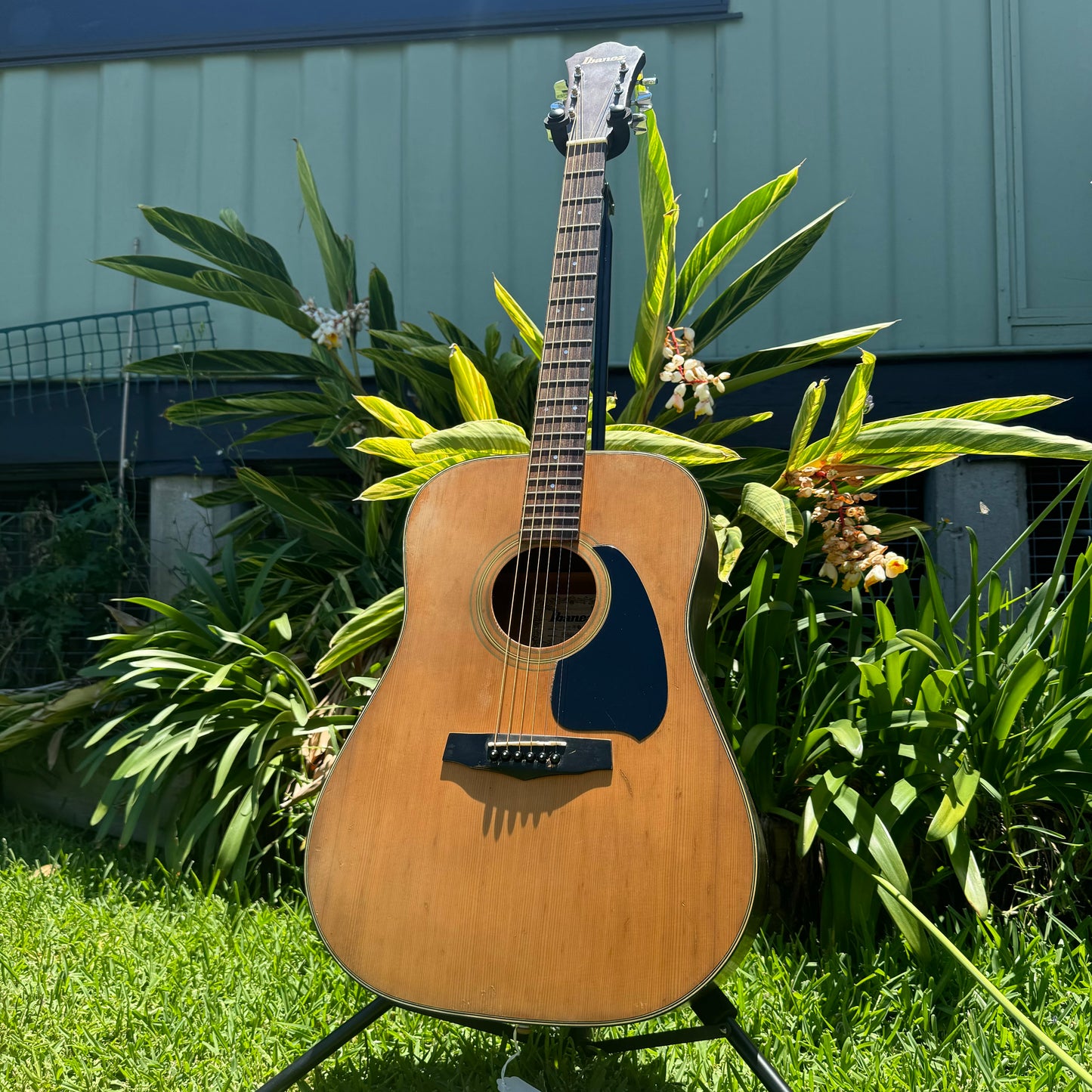 Ibanez V280 Dreadnought