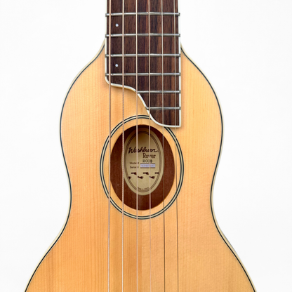 Washburn Rover RO10 Travel Acoustic Guitar with Case