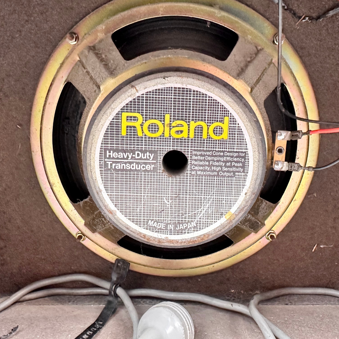 Roland DAC-50D 50W Combo Guitar Amplifier