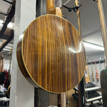 Rex Banjo Mandolin