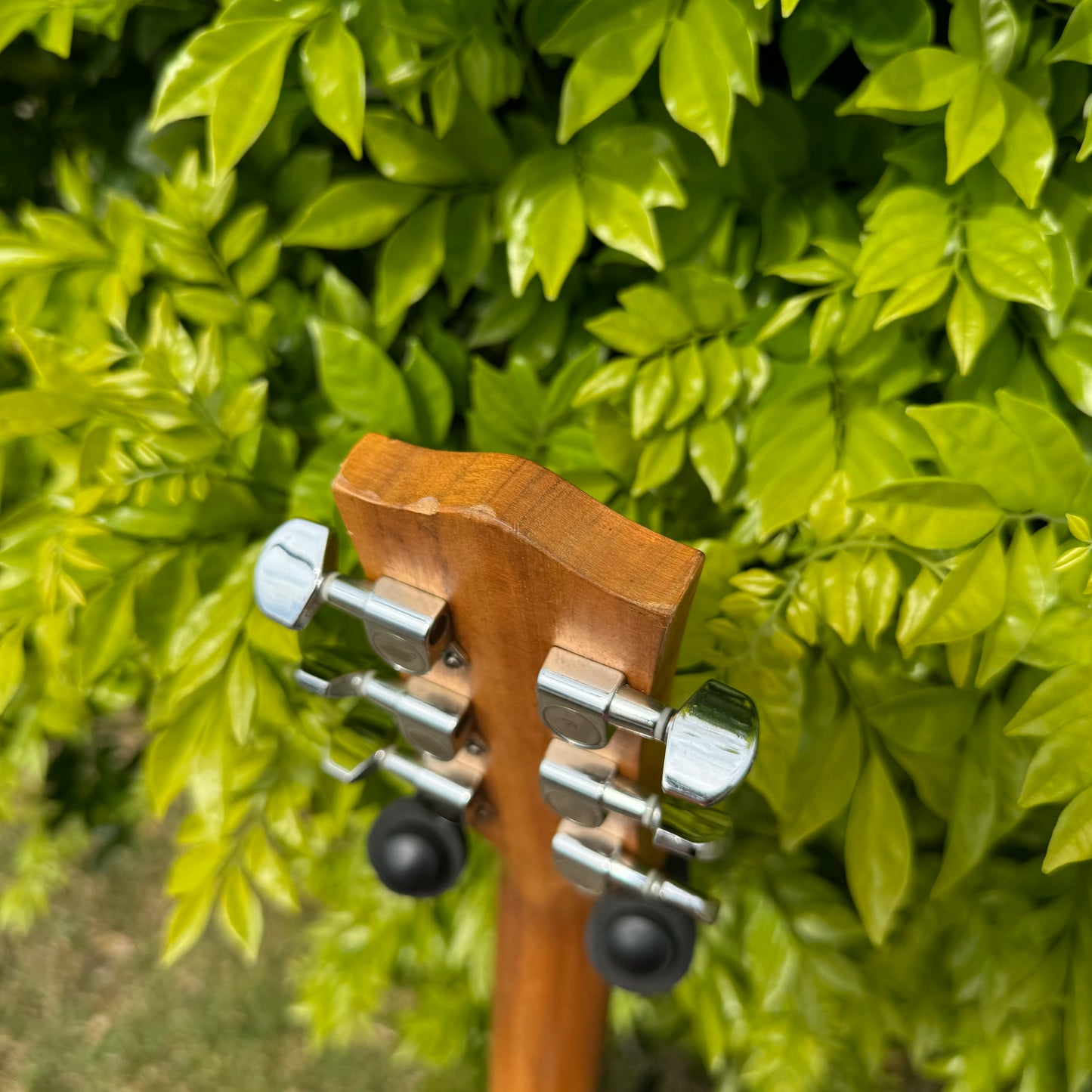 Maton M225 Natural Series Acoustic