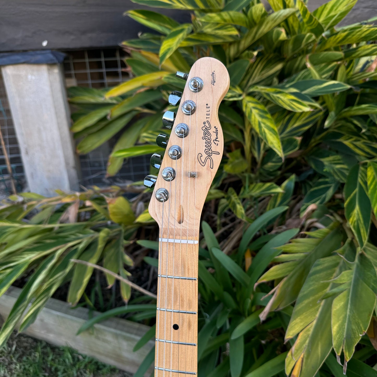 Squier Affinity Tele - Electric Blue