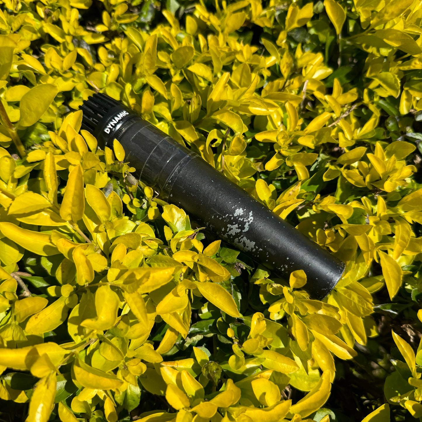 Shure SM57 Dynamic