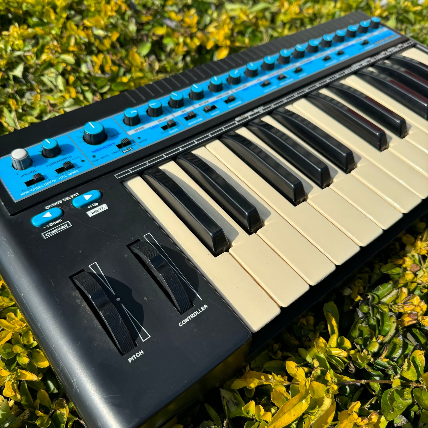 Novation Bass Station