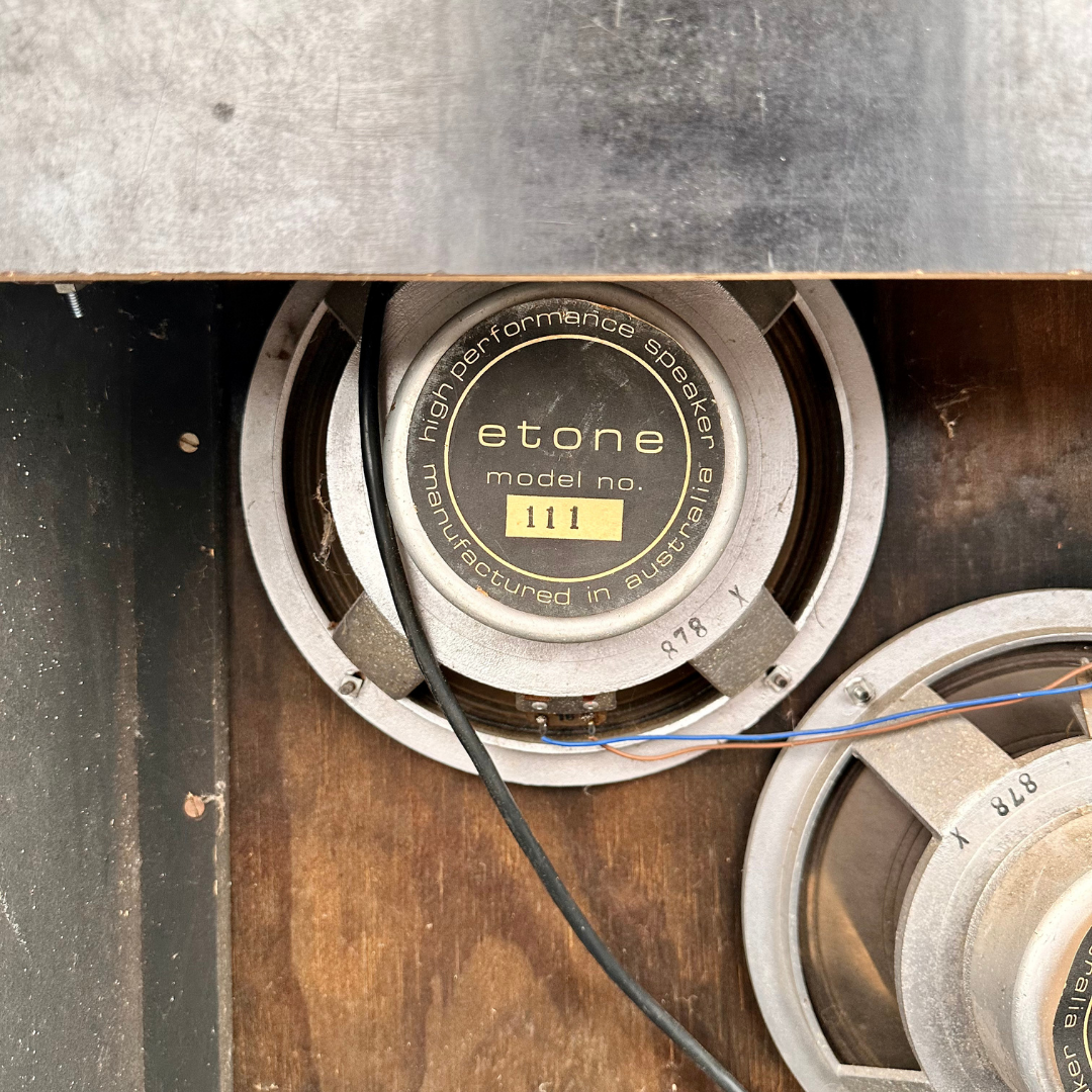 WEM Watkins Dominator 25 Valve Combo Amplifier