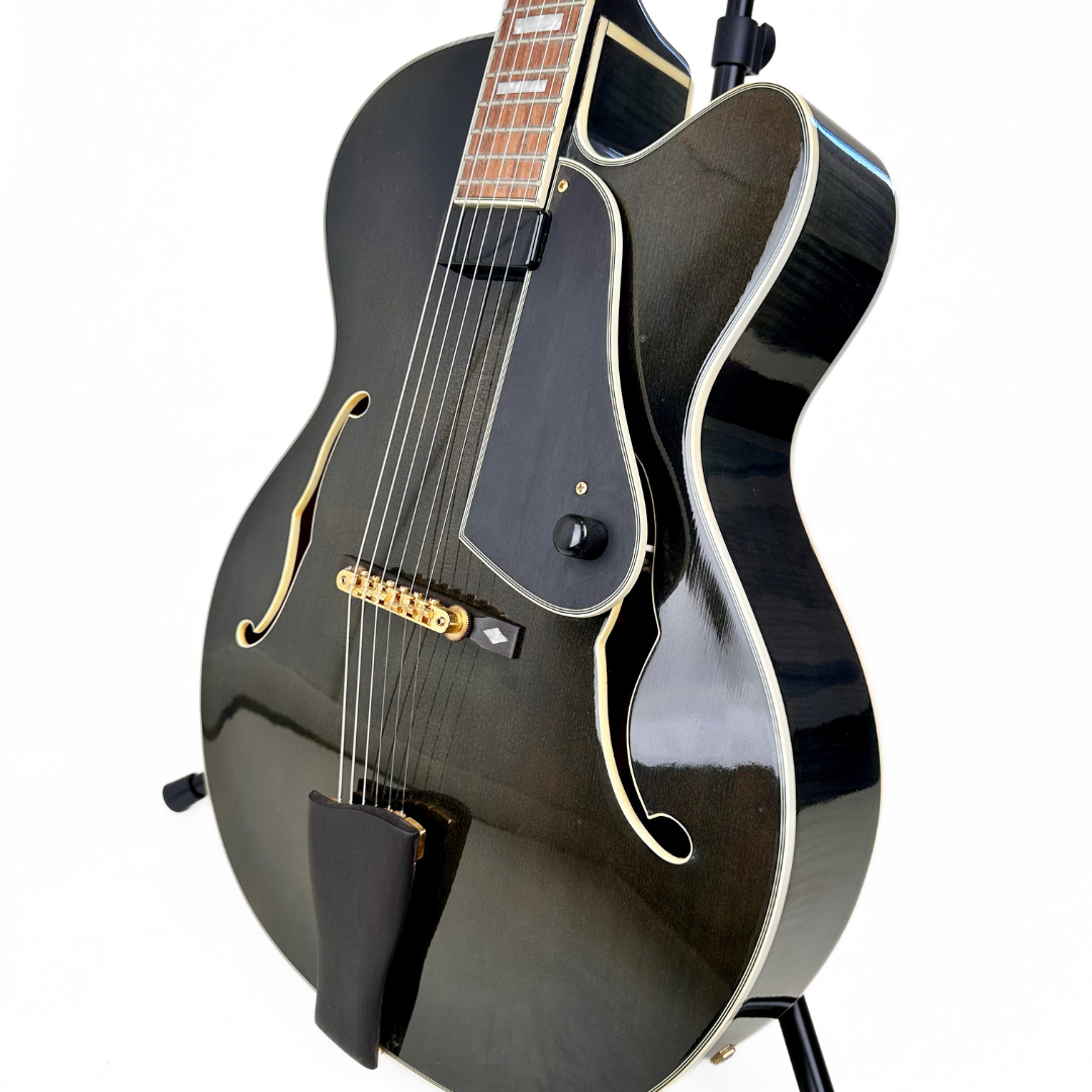 Electra Jazzbox Hollowbody Electric Guitar in Transparent Charcoal Burst