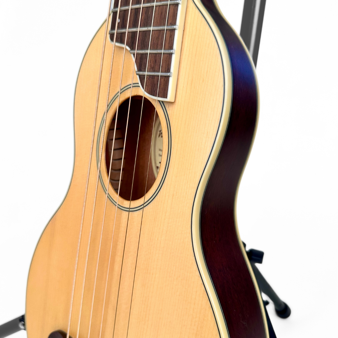 Washburn Rover RO10 Travel Acoustic Guitar with Case